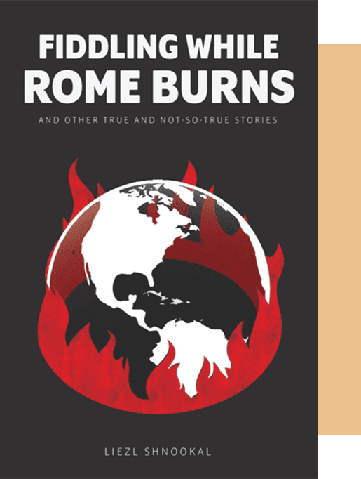 A book cover with the title of rome burns and other true stories.