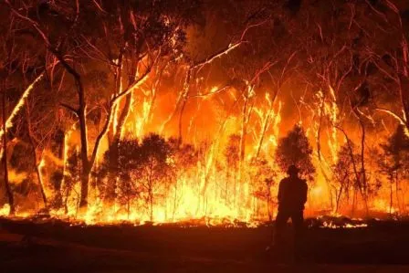 A person is sitting in front of a fire.