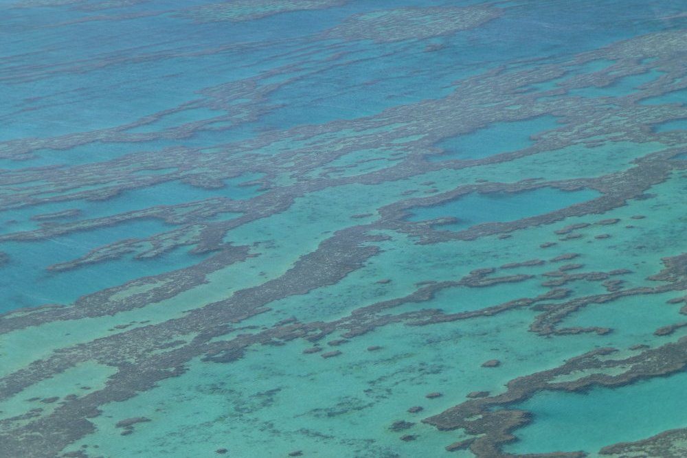 A view of the ocean from above.