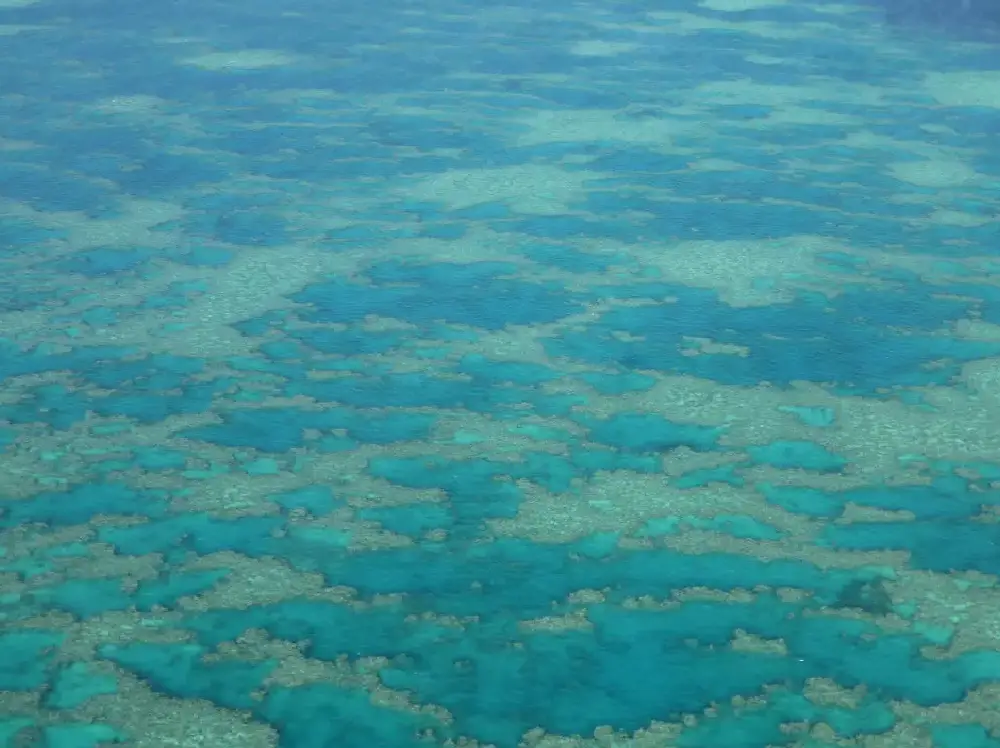 A view of the ocean from above.