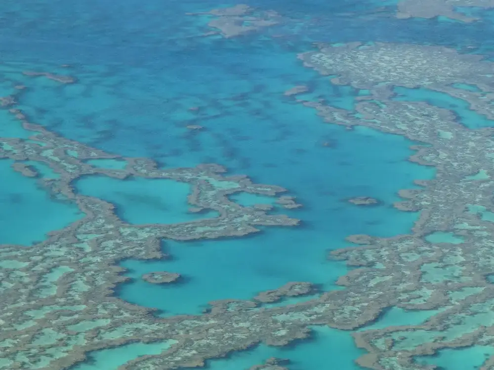 A view of the ocean from above.