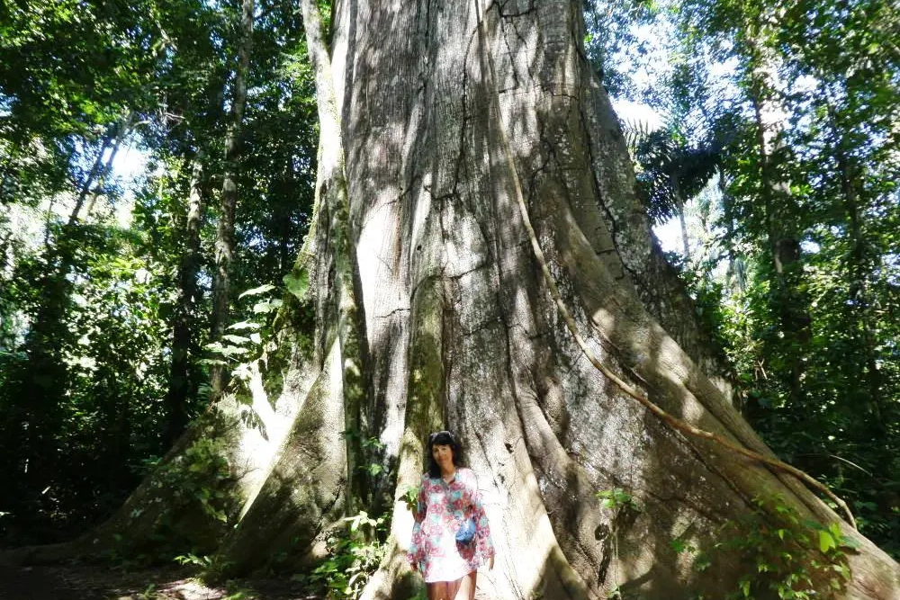 A woman standing in front of a large tree.