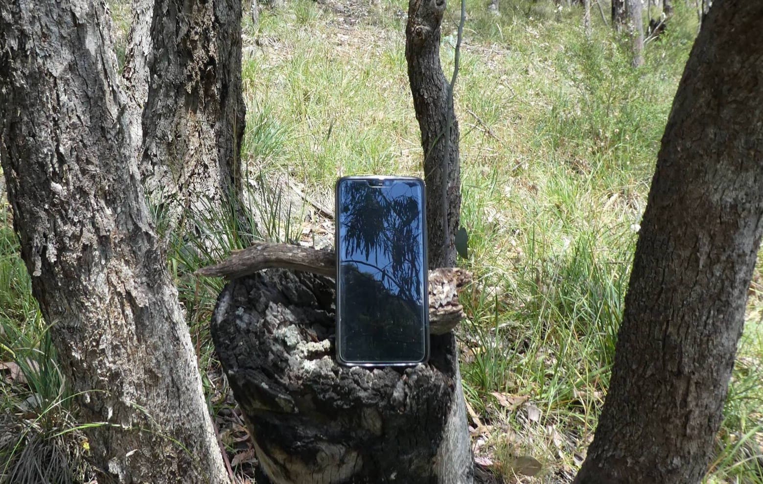 Mobile phone in the bush symbolizing author Liezl Shnookal sharing stories via her website Bush Telegraph XPress.