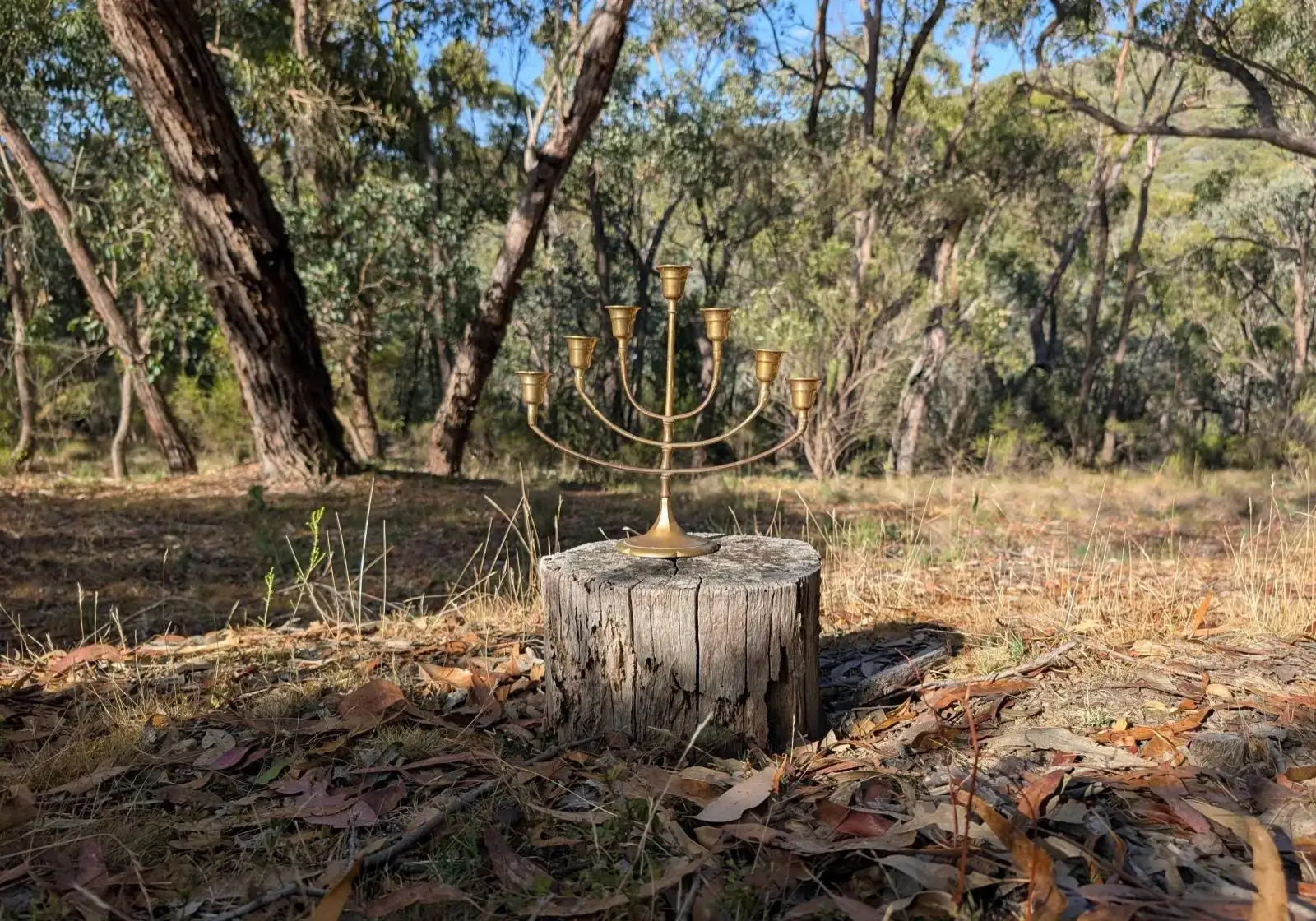 Brass candelabra on tree stump in forest