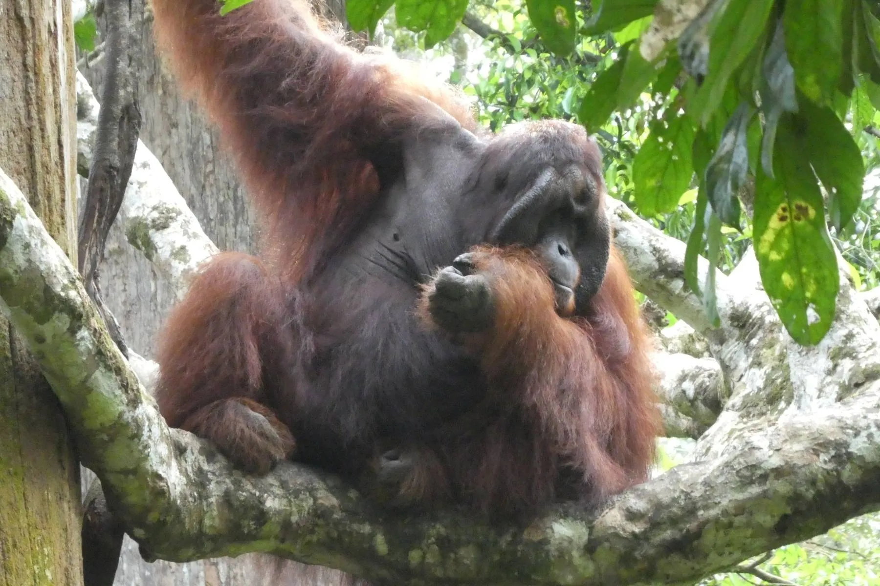 Avoid it where you can. Choose sustainable when you can’t.