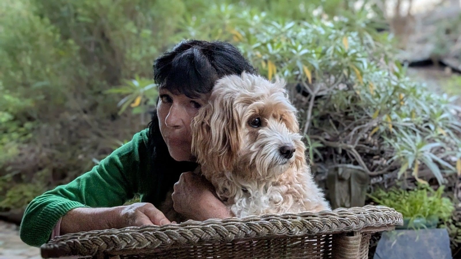 the-night-I-tried-to-save-my-dog
