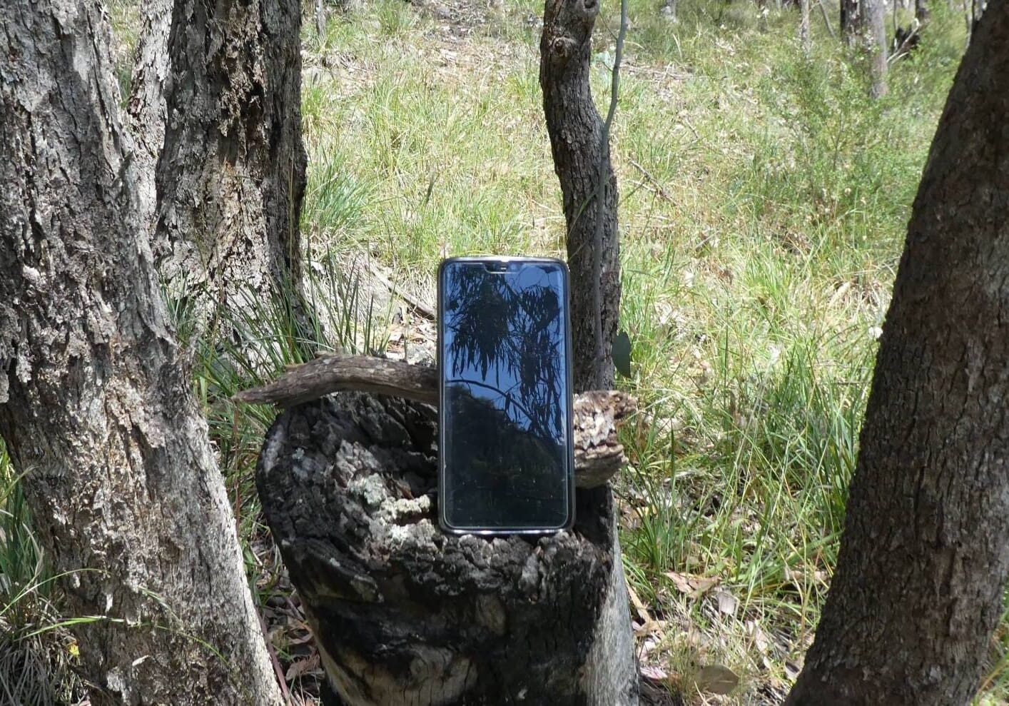 Mobile phone in the bush symbolizing author Liezl Shnookal sharing stories via her website Bush Telegraph XPress.