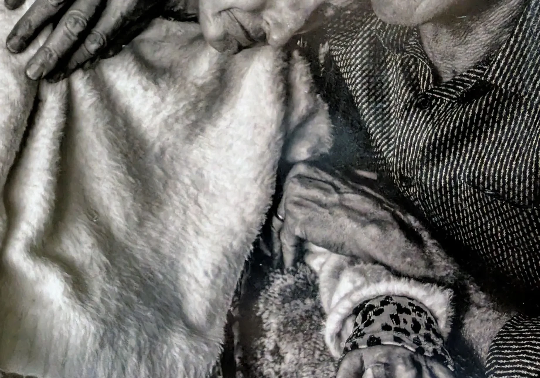 Elderly couple embracing under a blanket
