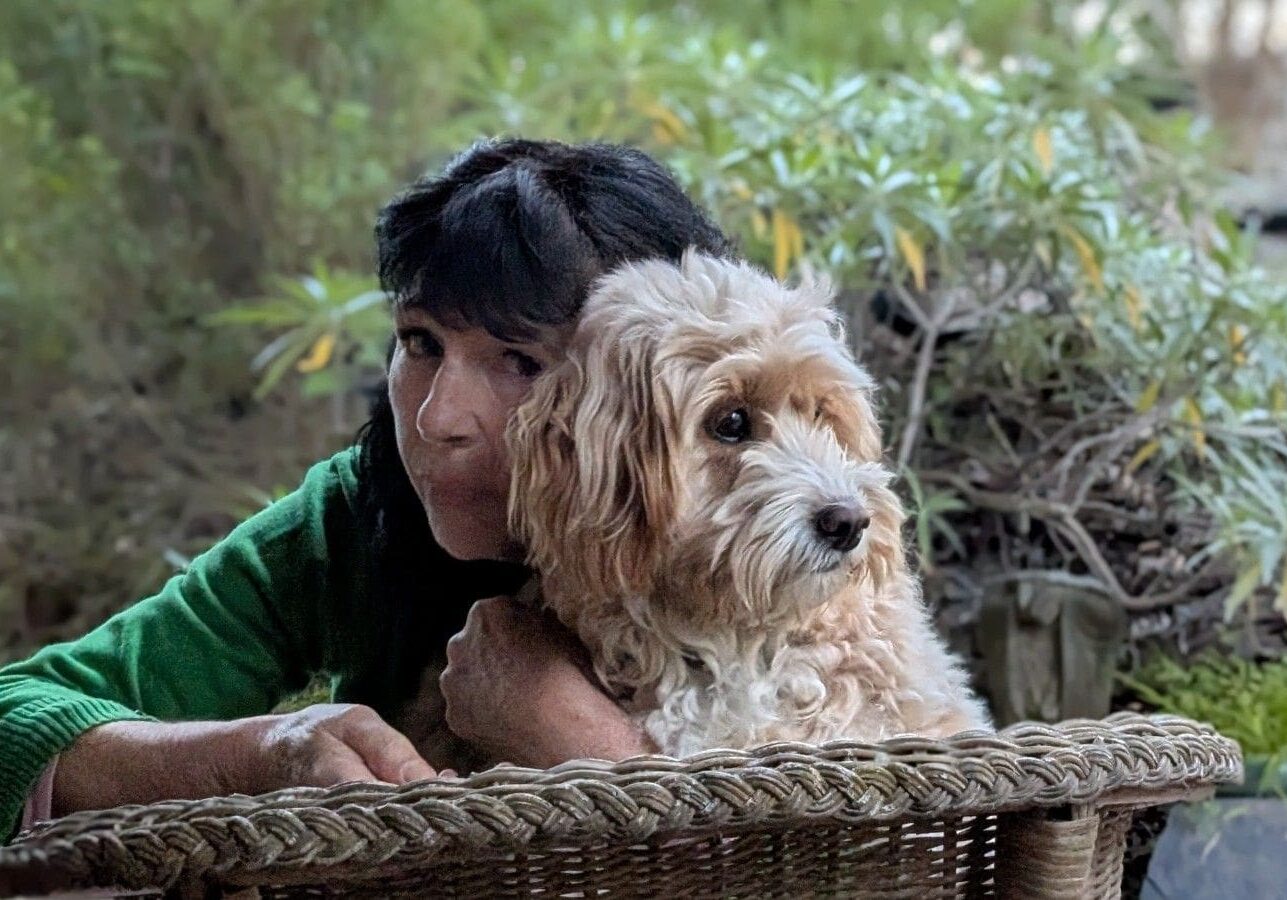 the-night-I-tried-to-save-my-dog